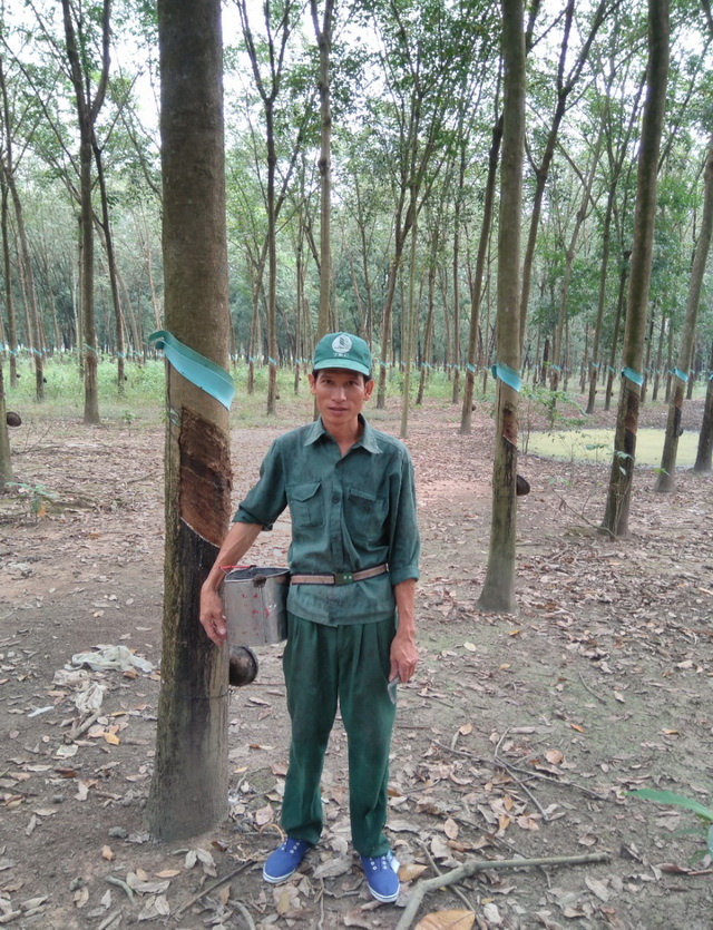 Anh công nhân ưu tú của ngành cao su Việt Nam